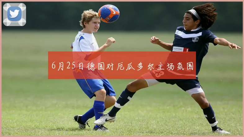 6月25日德国对厄瓜多尔主场氛围