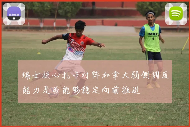 瑞士核心扎卡对阵加拿大弱侧调度能力是否能够稳定向前推进