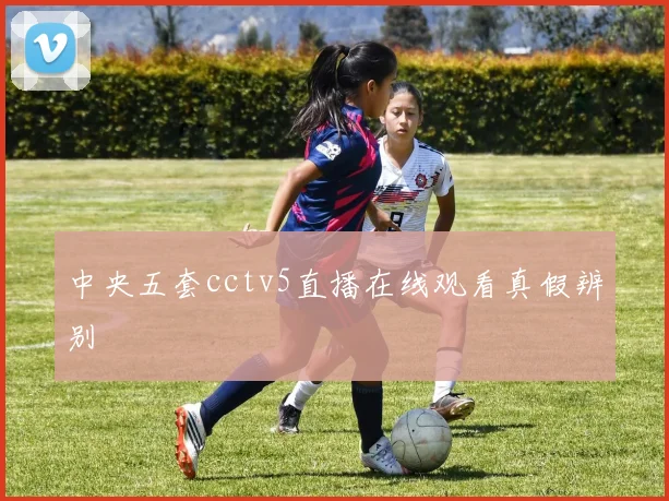 中央五套cctv5直播在线观看真假辨别
